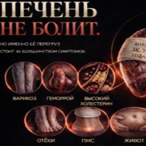 Печень – основа здоровья. Печень не болит (Наталья Каракоч)