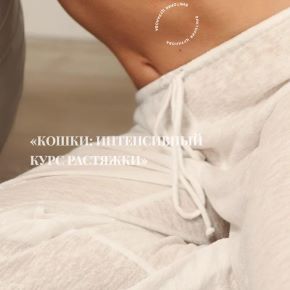 Кошки: интенсивный курс растяжки (Виктория Цуранова)