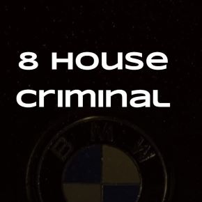 [winger_angel] 8 House criminal (Наталия Брижатюк)