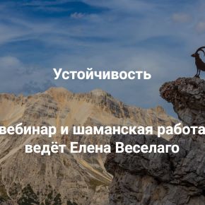[Институт Открытого поля] Устойчивость. Как сохранять устойчивость в сложное время личных кризисов и трансформаций больших систем (Елена Веселаго)