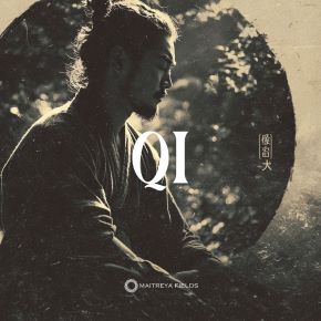 [Maitreya Fields] Ци (气) —жизненная сила DM + аудио