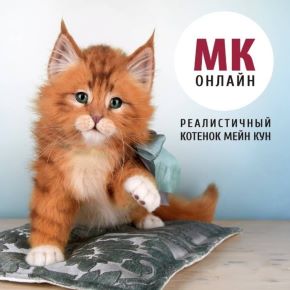 [Анастасия Масловская] Реалистичный котенок Мейн кун (2021)