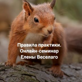 [Институт Открытого поля] Правила практики. Как построить практику, приносящую удовольствие много лет и дающую хорошие деньги (Елена Веселаго)