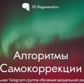 [5D Regeneration] Алгоритмы самокоррекции (Елена Гондорчин)