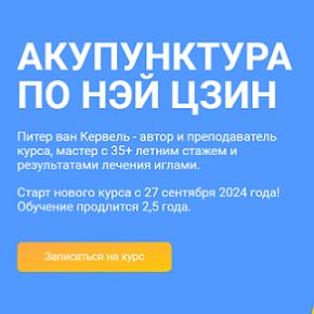 [Краниосакральная академия] Акупунктура по Нэй Цзин. Полный курс. Семинары 1-12 (Питер ван Кервель)