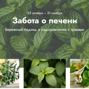 [Светлана Калмыкова] Забота о печени (2023)