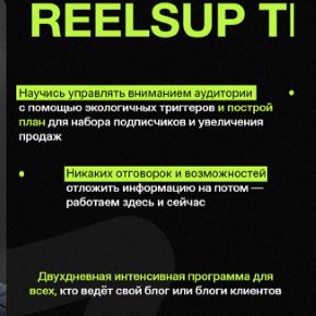 [Анна Галашева] Тренинг ReelsUp (2024)
