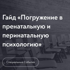 [МИП] Гайд Погружение в пренатальную и перинатальную психологию (Елена Журек)