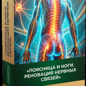 Поясница и ноги. Реновация нервных связей (Виктор Картавенко, Татьяна Картавенко)
