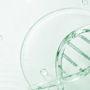 [PreventAge] Флагманская программа PreventAge. Модули 1 - 6 (Андрей Гострый, Александр Королев)