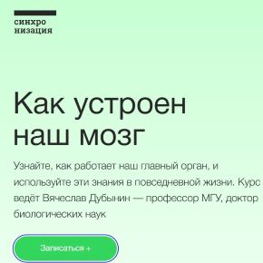 [Синхронизация] Как устроен наш мозг 2026 (Вячеслав Дубынин)