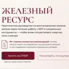 Железный ресурс (Марина Ерохина)