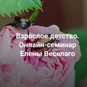 [Институт Открытого поля] Взрослое детство. Семинар о травме развития и кПТСР (Елена Веселаго