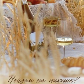 [Arts_bakery] Пойдём на пикник (Ксения Бутолина)