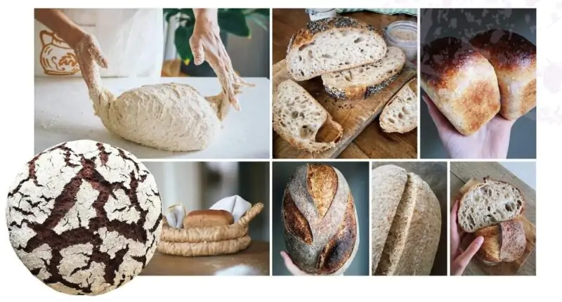 [Oh my Bread] Профессиональное обучение хлебопечению. Полный курс Oh my Bread (Анна Кучкина)
