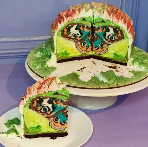 Мастер-класс в технике cakeinside и тема "Бабочки и весна" (Евгения Кизленко)