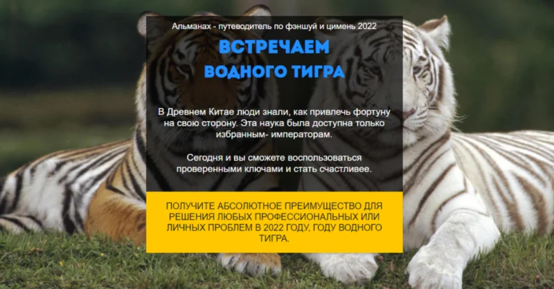 Путеводитель Фэншуй и Ци Мень. год Водного Тигра 2022. Тариф «ВИП» (Нинель Смолина)