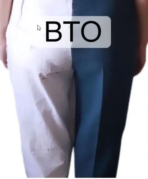 ВТО брюк (Вероника Степанова) 2021