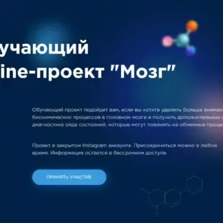 Обучающий online-проект "Мозг"