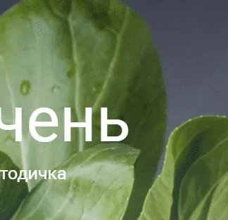 Методичка Печень