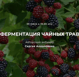 [Cергей Апполонов] Ферментация чайных трав (2022)
