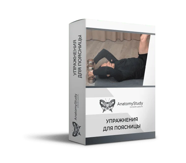 d0e76c806c977a50399bc1d0d5af4657 (1)