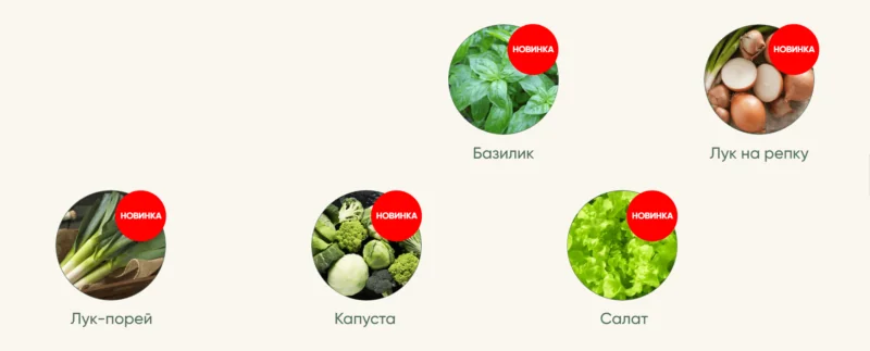 Рассада без досады. Овощная рассада Новые культуры 2023 (Анна Акинина)