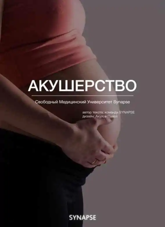 [Synapse] Учебник по акушерству