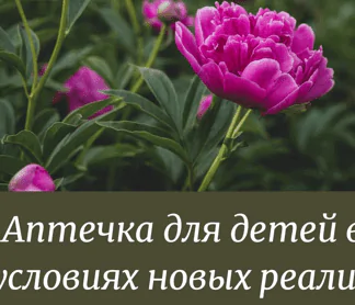 Аптечка для детей в условиях новых реалий (doctor ninanik)