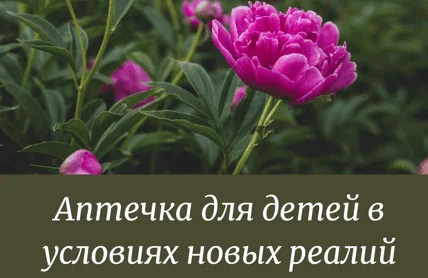 Аптечка для детей в условиях новых реалий (doctor ninanik)