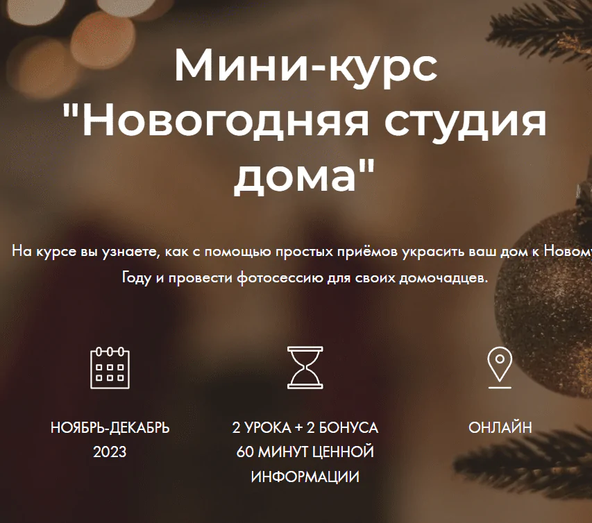 Снимок экрана 2023-12-07 214952