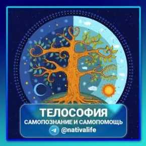 Снимок экрана 2024-12-23 191453