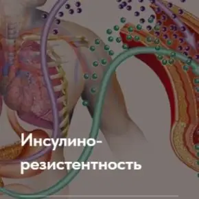 Снимок экрана 2025-01-09 191433