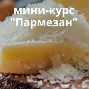 Пармезан (Ольга Лазарева) 2025
