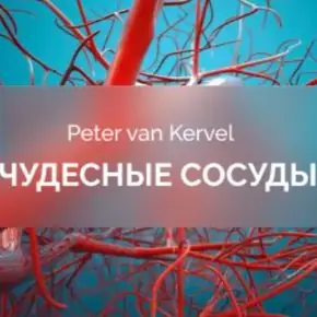[Питер Ван Кервель] [Краниосакральная академия] Чудесные сосуды (2025)