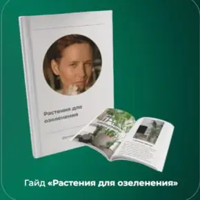 Гайд «Растения для озеленения» (Елена Носова)