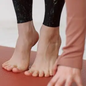 фi (1)
