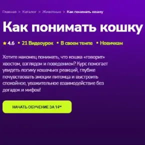 [TutorPlace] Как понимать кошку (Алсу Мкаддесовна)