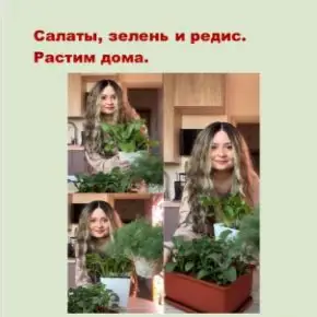 [Кристина Сидельникова] Растим дома: огурцы, томаты, салаты, зелень, редис (2026)