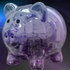 [ProFinansy] ПДС: капитал с поддержкой государства (Ольга Гогаладзе)