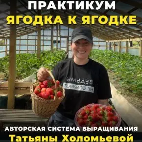 [Реальный садовод] Практикум ягодка к ягодке (Татьяна Холомьёва)