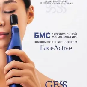 [Gess] Методическое пособие по БМС