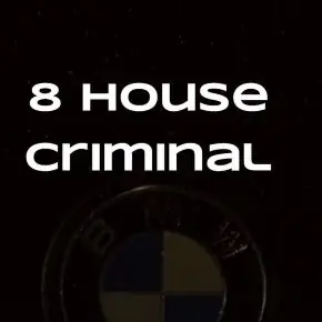 [winger_angel] 8 House criminal (Наталия Брижатюк)