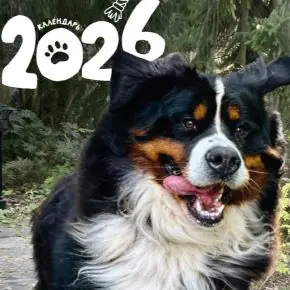 [Институт Открытого поля] Календарь 2026. Двор на Полевой (Елена Веселаго, Ирина Степанова)
