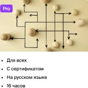 [МГИМО] Современные организации (Ленар Юнусов)(2024)