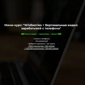 [Александр Пуминов] Wildberries + Вертикальные видео: зарабатывай с телефона (2026)