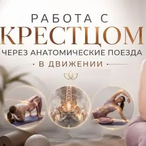 [Александра Кибзий] Работа с крестцом через анатомические поезда в движении (2026)