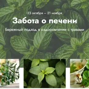 [Светлана Калмыкова] Забота о печени (2023)