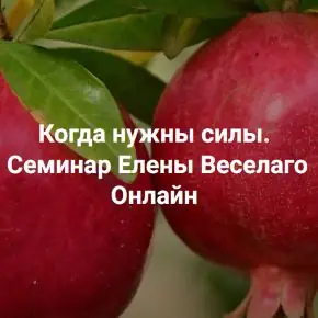 [Институт Открытого поля] Когда нужны силы. Семинар о ресурсной полевой терапии для более полной жизни и работы с тяжелыми травмами (Елена Веселаго)
