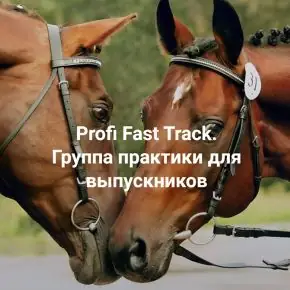 [Институт Открытого поля] Profi Fast Track. Группа практики с супервизией для выпускников 2026 (Елена Веселаго)